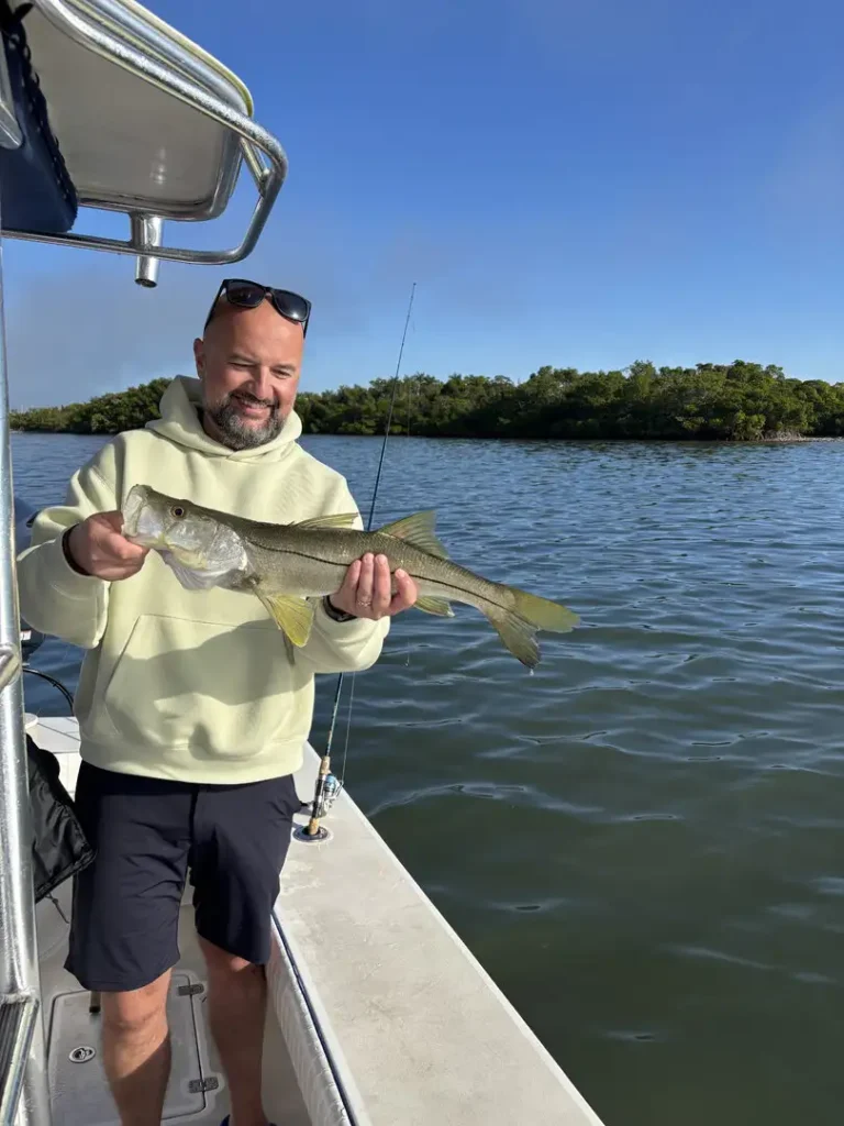 Angler holding a snook during a Sarasota fishing charter near the mangroves.