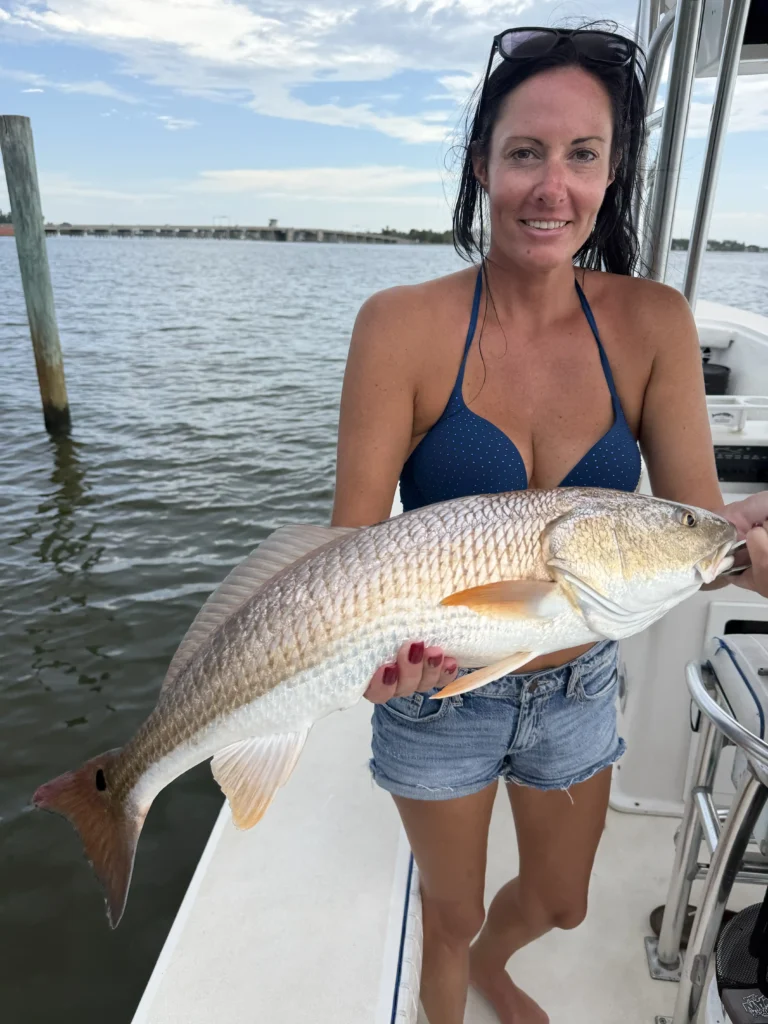 Woman holding a large redfish caught during an inshore fishing trip in Sarasota, Florida