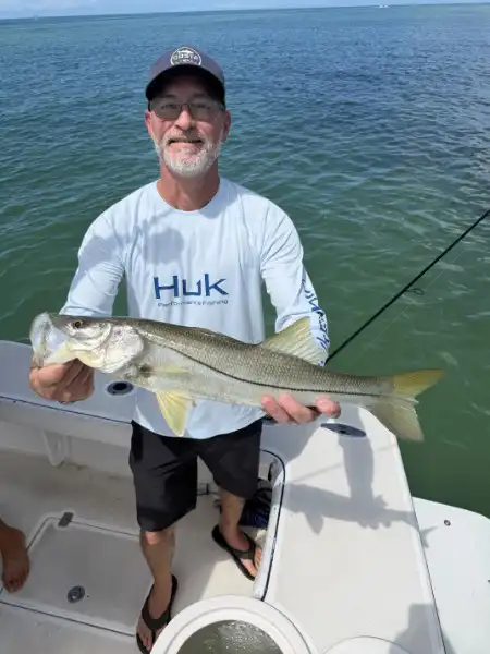 Angler holding a snook caught while fishing in Sarasota, Florida